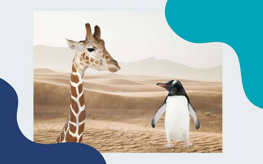 Eigene Stärken erkennen als hochsensible Scannerpersönlichkeit: bist du Pinguin oder Giraffe?